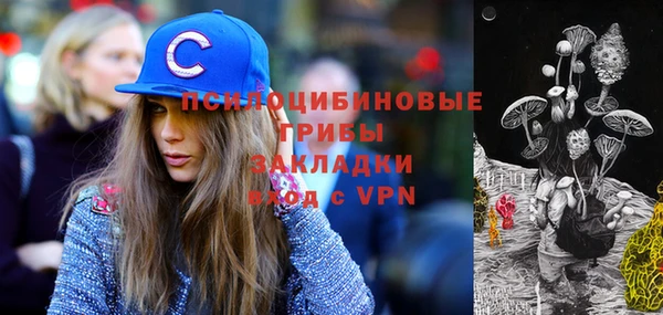 PSILOCYBIN Алексин