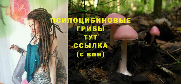 PSILOCYBIN Алексин